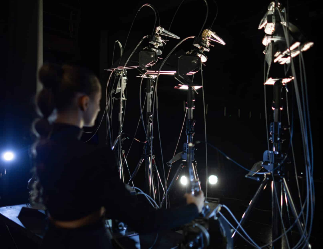 Corvidae - Sguardi di specie - MUSE