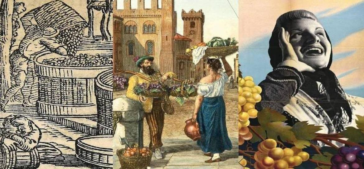 Of Grapes and Grapes - Journey around the Vine