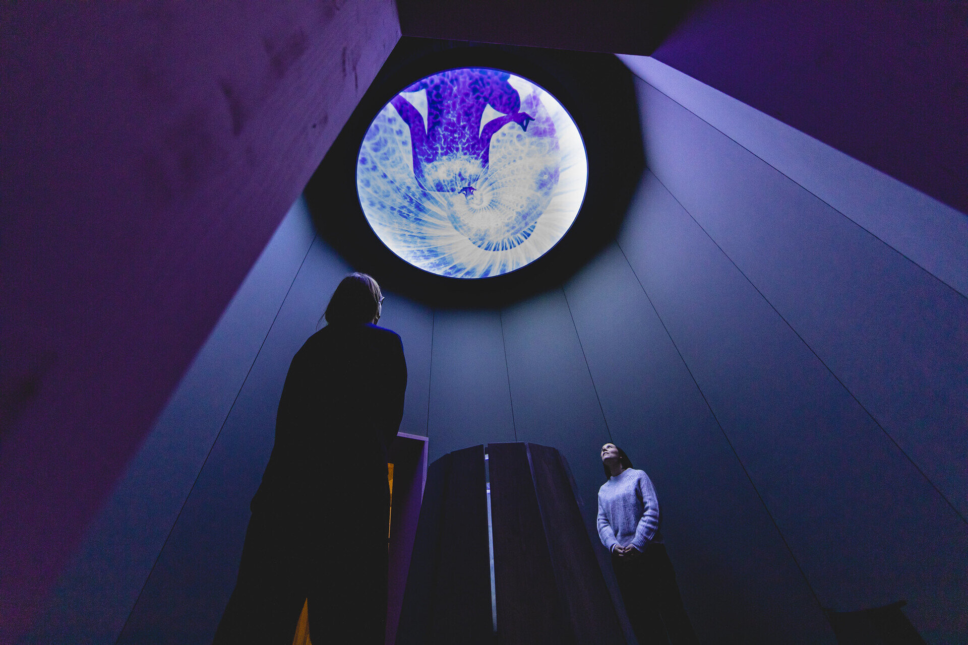 Content Dam Org 7 Images Full Rights Eventi Trento Muse 2023 2024 Dentro Il Colore Dentro Il Colore Palazzo Delle Albere 2