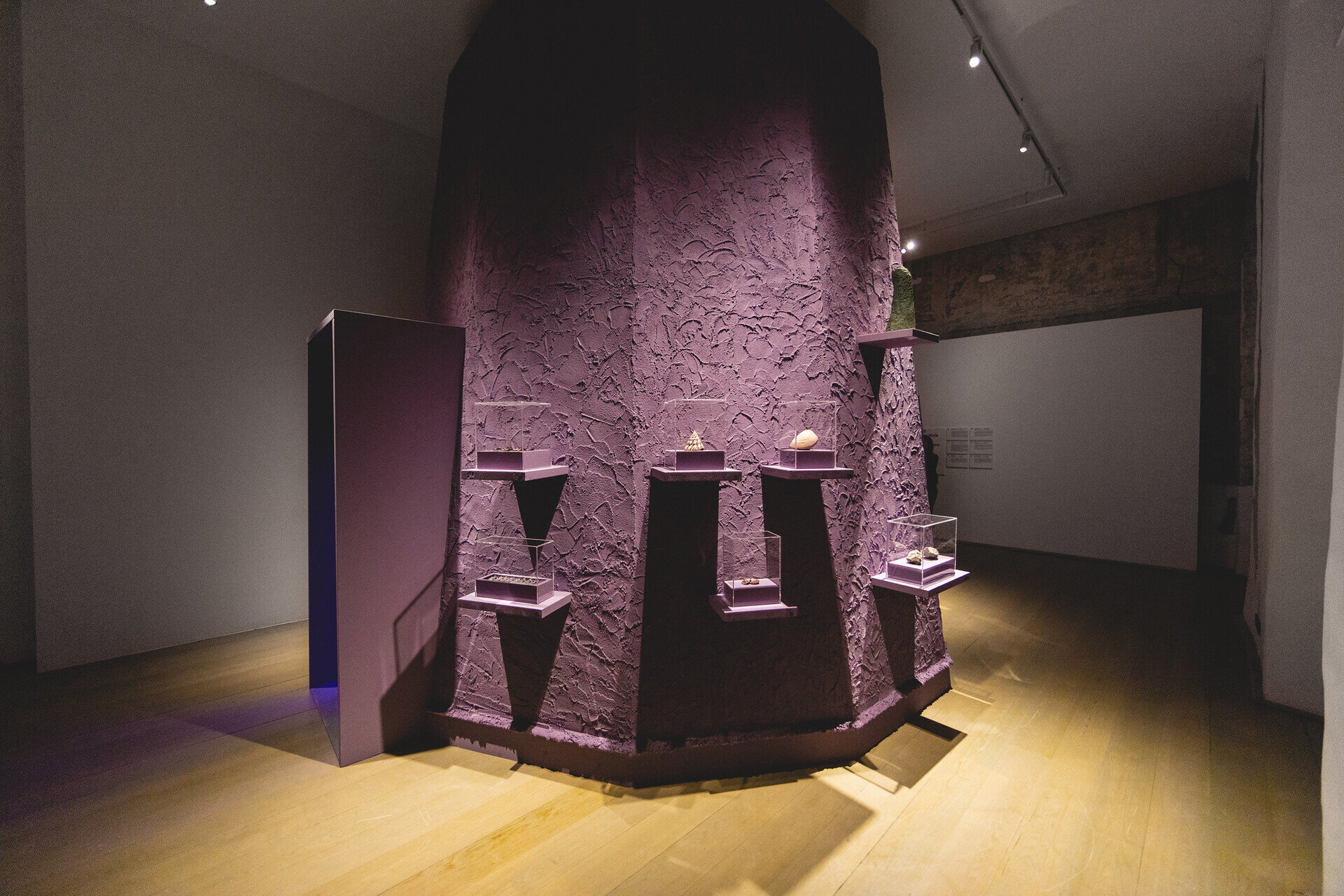 Content Dam Org 7 Images Full Rights Eventi Trento Muse 2023 2024 Dentro Il Colore Dentro Il Colore Palazzo Delle Albere 3