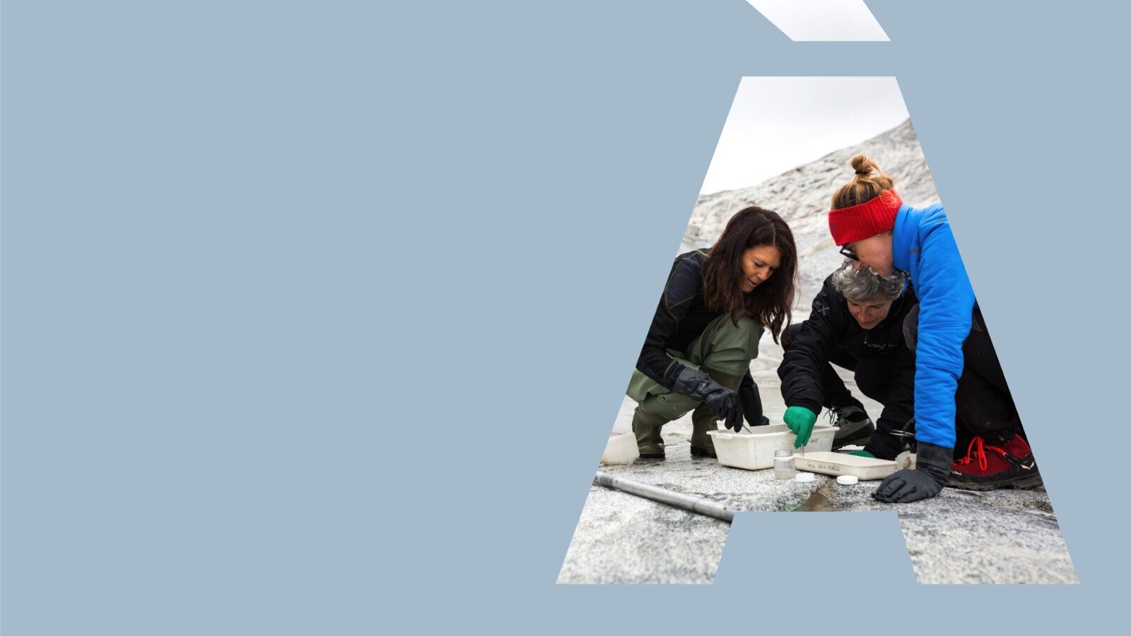 Dialogues on ice. Meetings to learn and reflect - MUSE