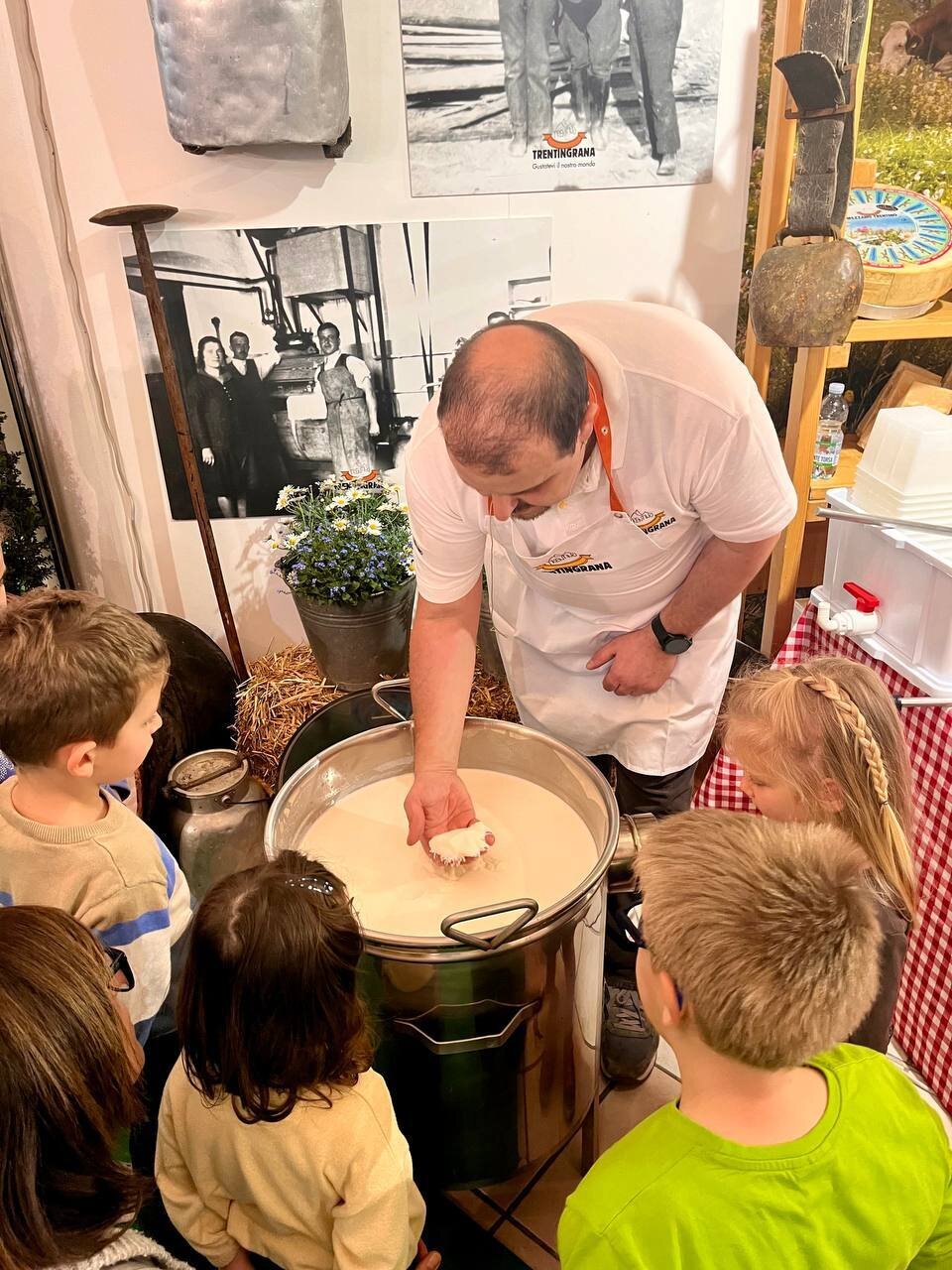 Cheese-making demonstration by Trentingrana Concast - Agriculture Exhibition