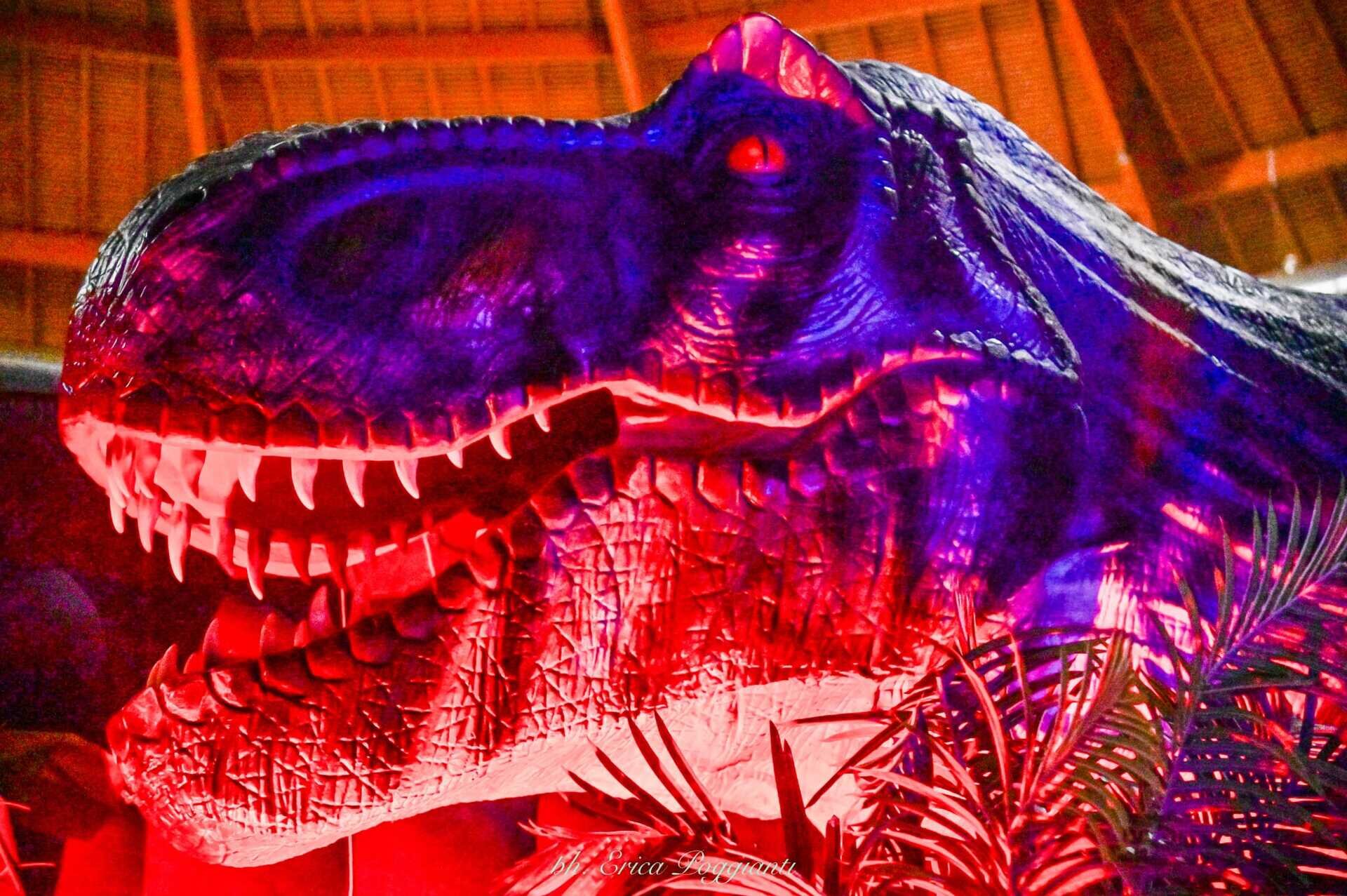 Content Dam Org 7 Images Full Rights Eventi Trento Trento Fiere Dinosaurs World Trento Expo Dino 3