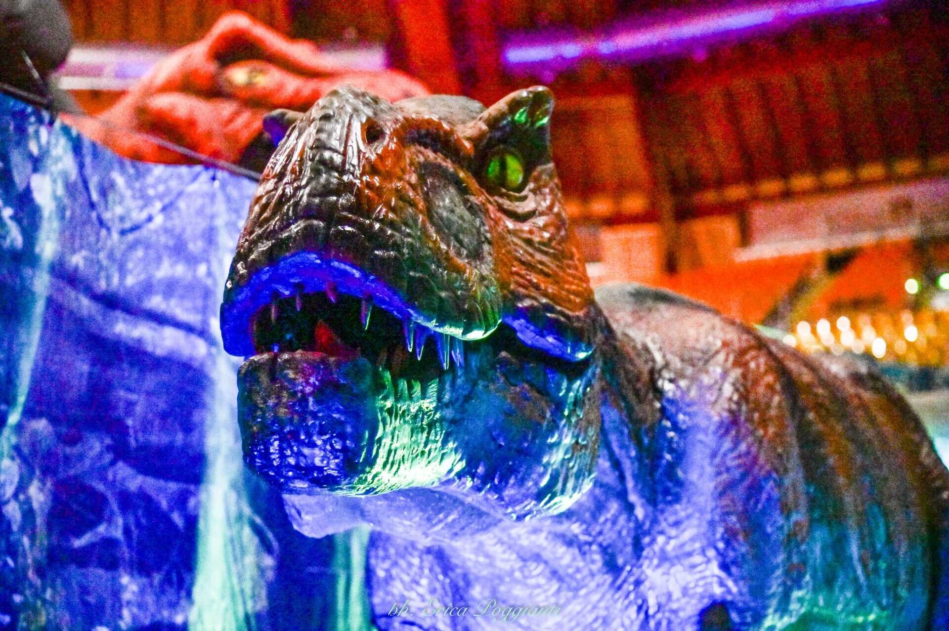 Content Dam Org 7 Images Full Rights Eventi Trento Trento Fiere Dinosaurs World Trento Expo Dino 4