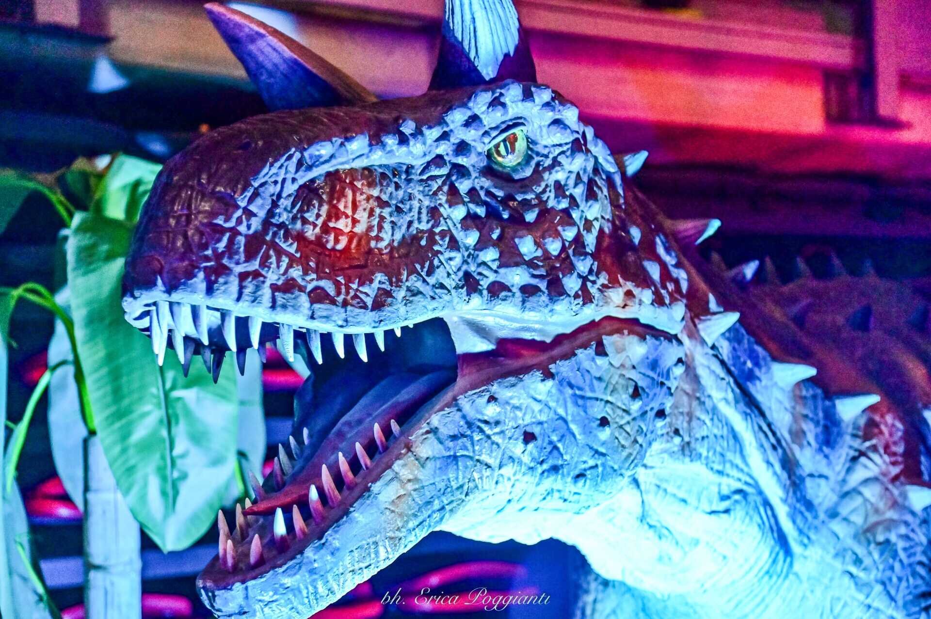 Content Dam Org 7 Images Full Rights Eventi Trento Trento Fiere Dinosaurs World Trento Expo Dino 5