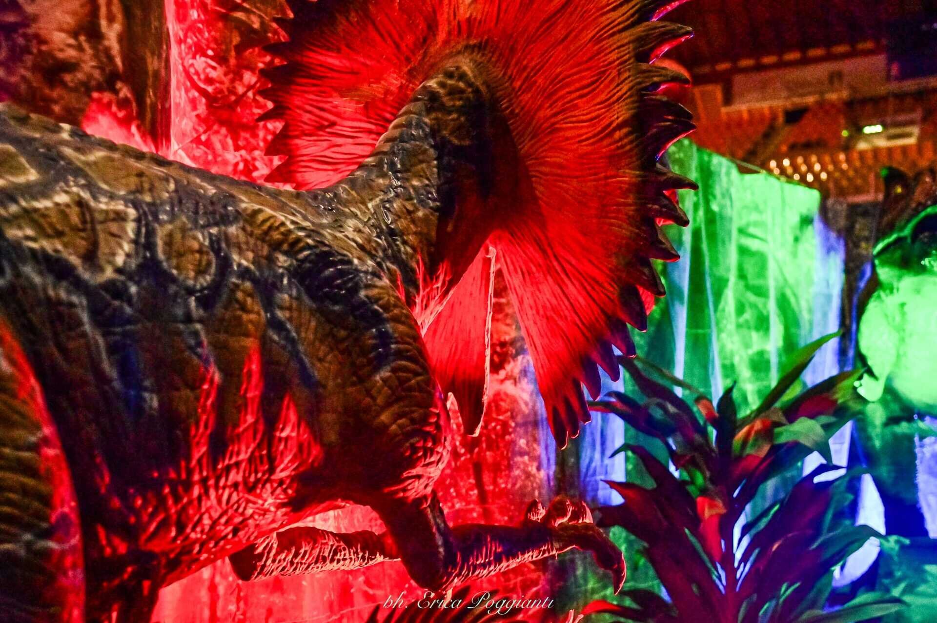 Content Dam Org 7 Images Full Rights Eventi Trento Trento Fiere Dinosaurs World Trento Expo Dino 6