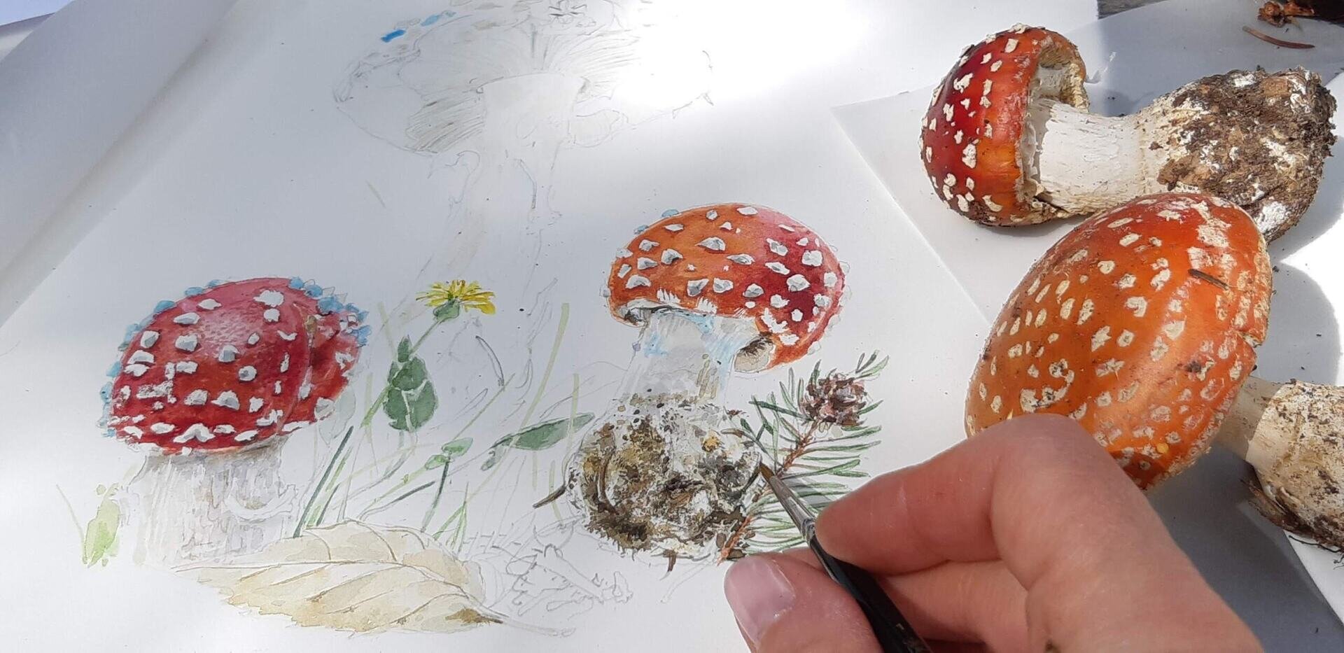 Painting mushrooms - Watercolor course - Viote Alpine Botanical Garden