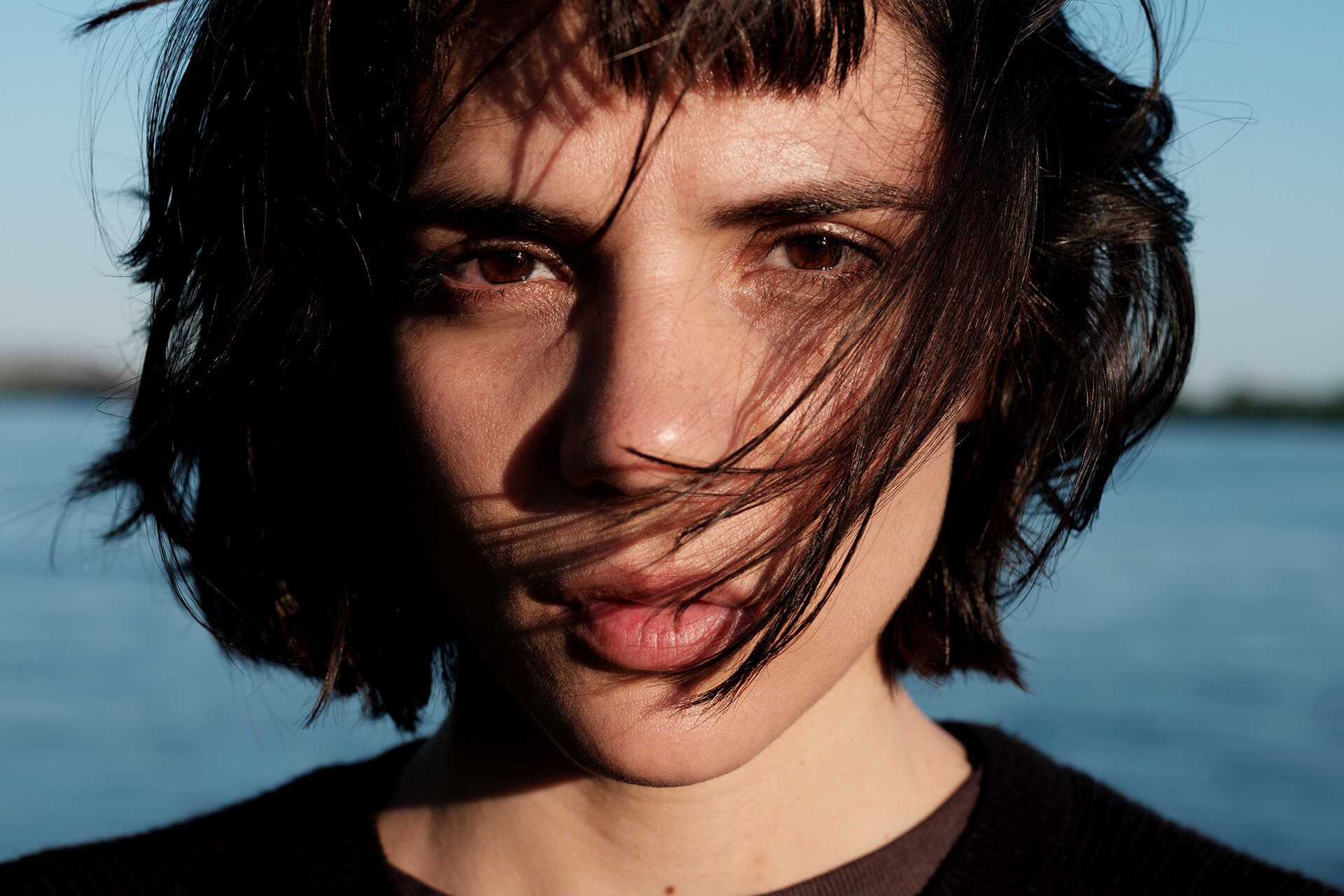 Dog Rising - Clara Furey