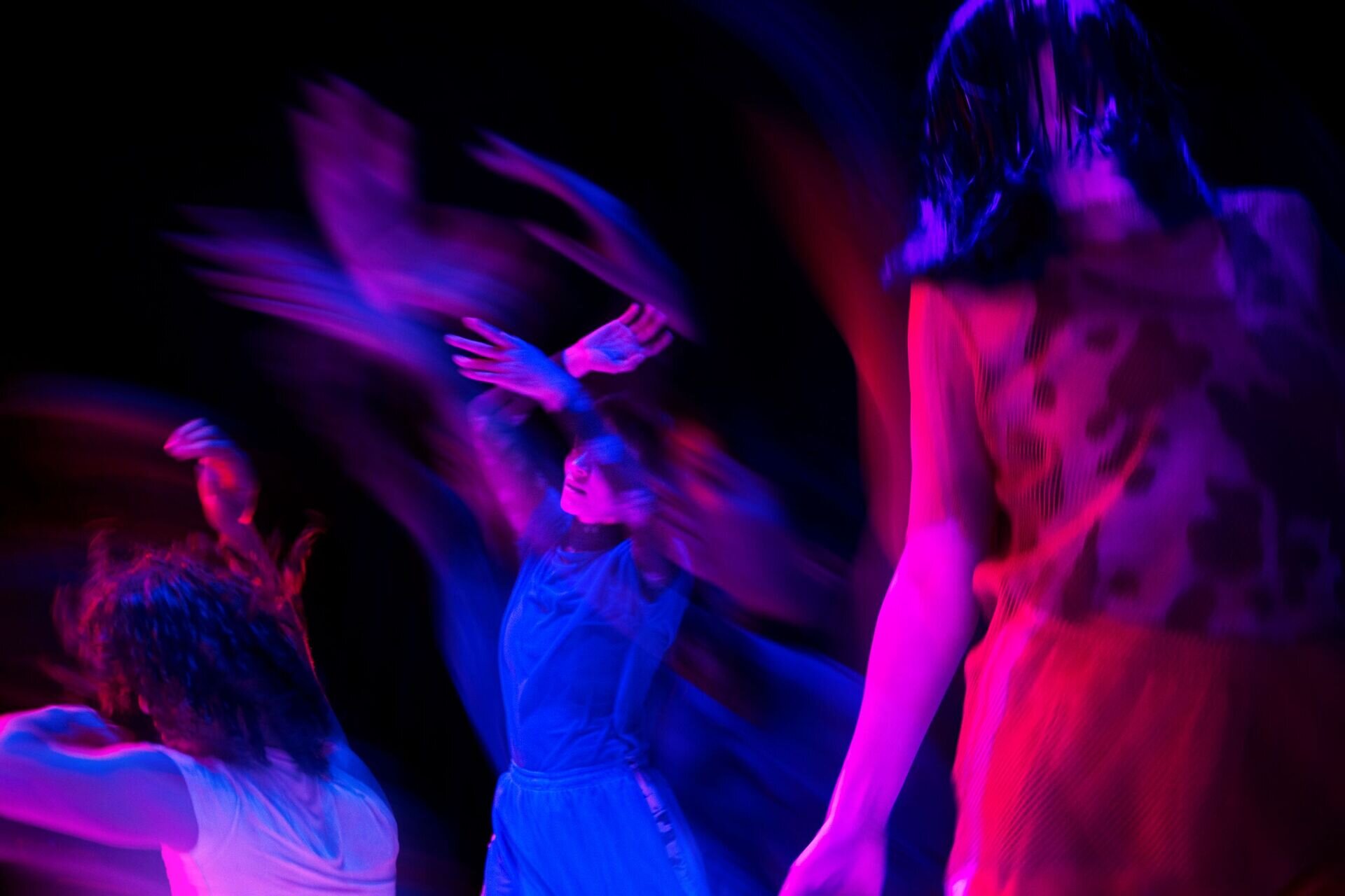 Content Dam Org 7 Images Full Rights Eventi Trento Centro Servizi Culturali Santa Chiara Teatro Sanbapolis 2023 2024 Dog Rising Dog Rising 1