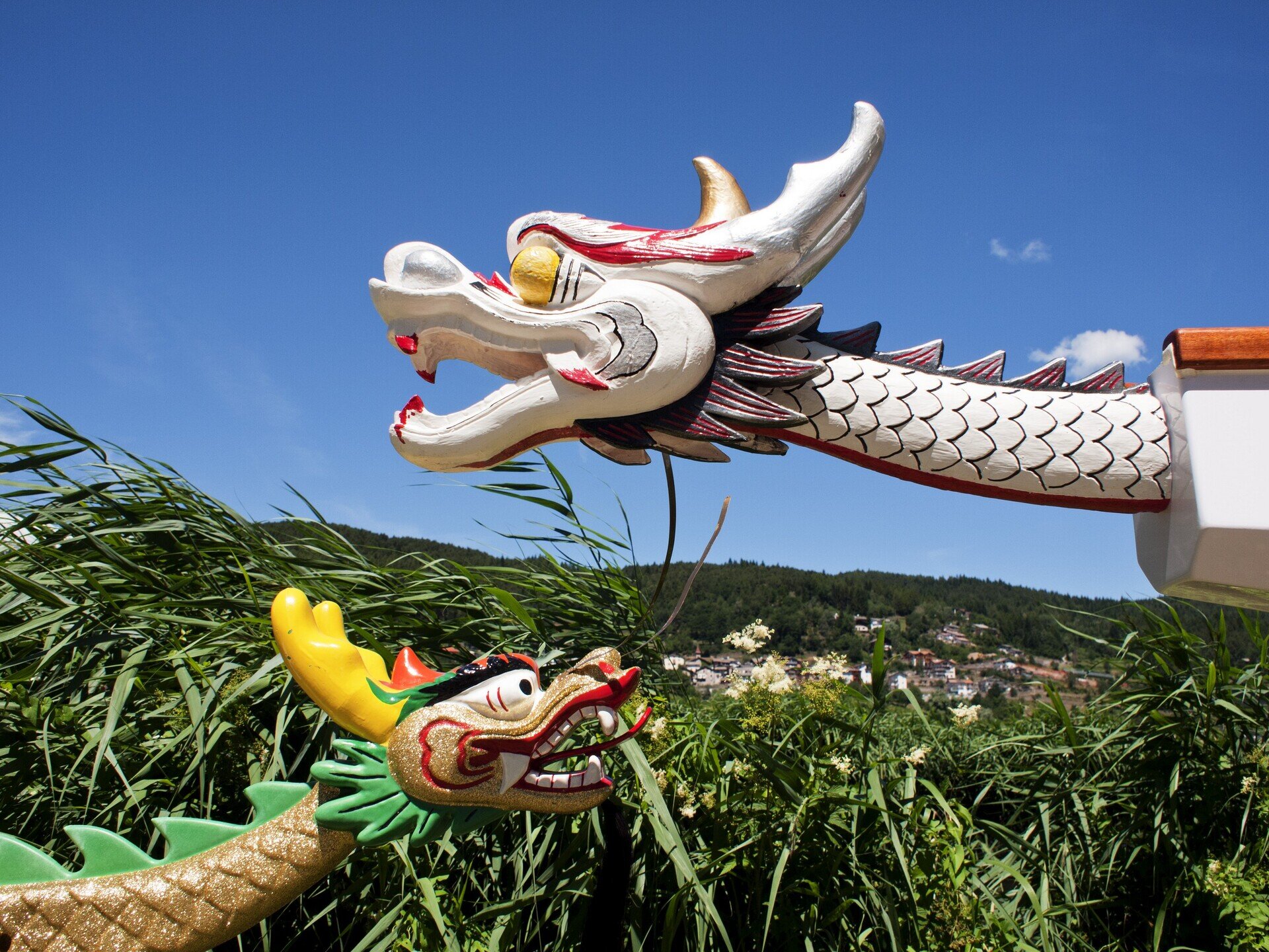 Content Dam Org 7 Images Full Rights Eventi Baselga Di Pine Dragon Festival Dragon Boat Comello Francesco 2