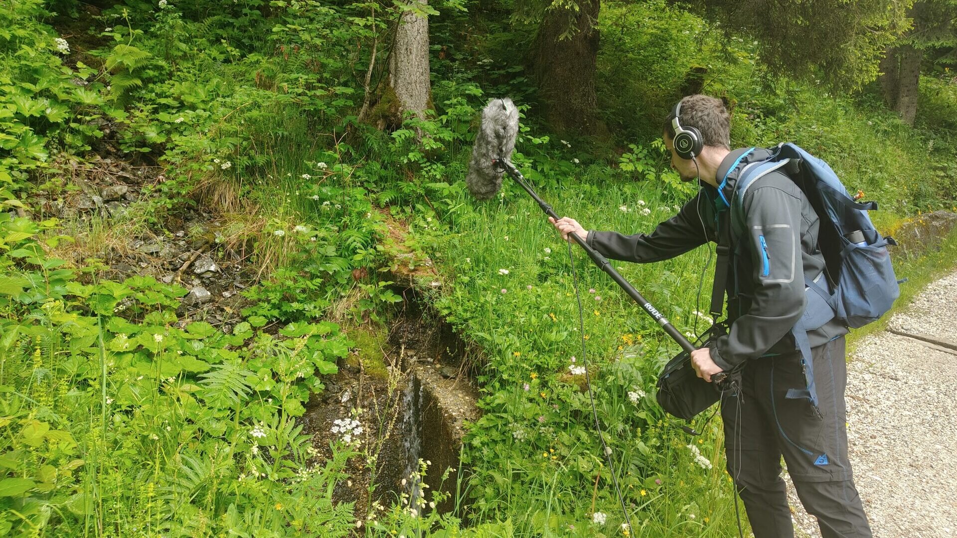 ECOS. Soundscapes in the Ecomuseums