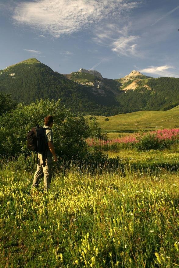 Content Dam Org 7 Images Full Rights Eventi Monte Bondone My Active Summer 2024 Essere Bosco Mb24