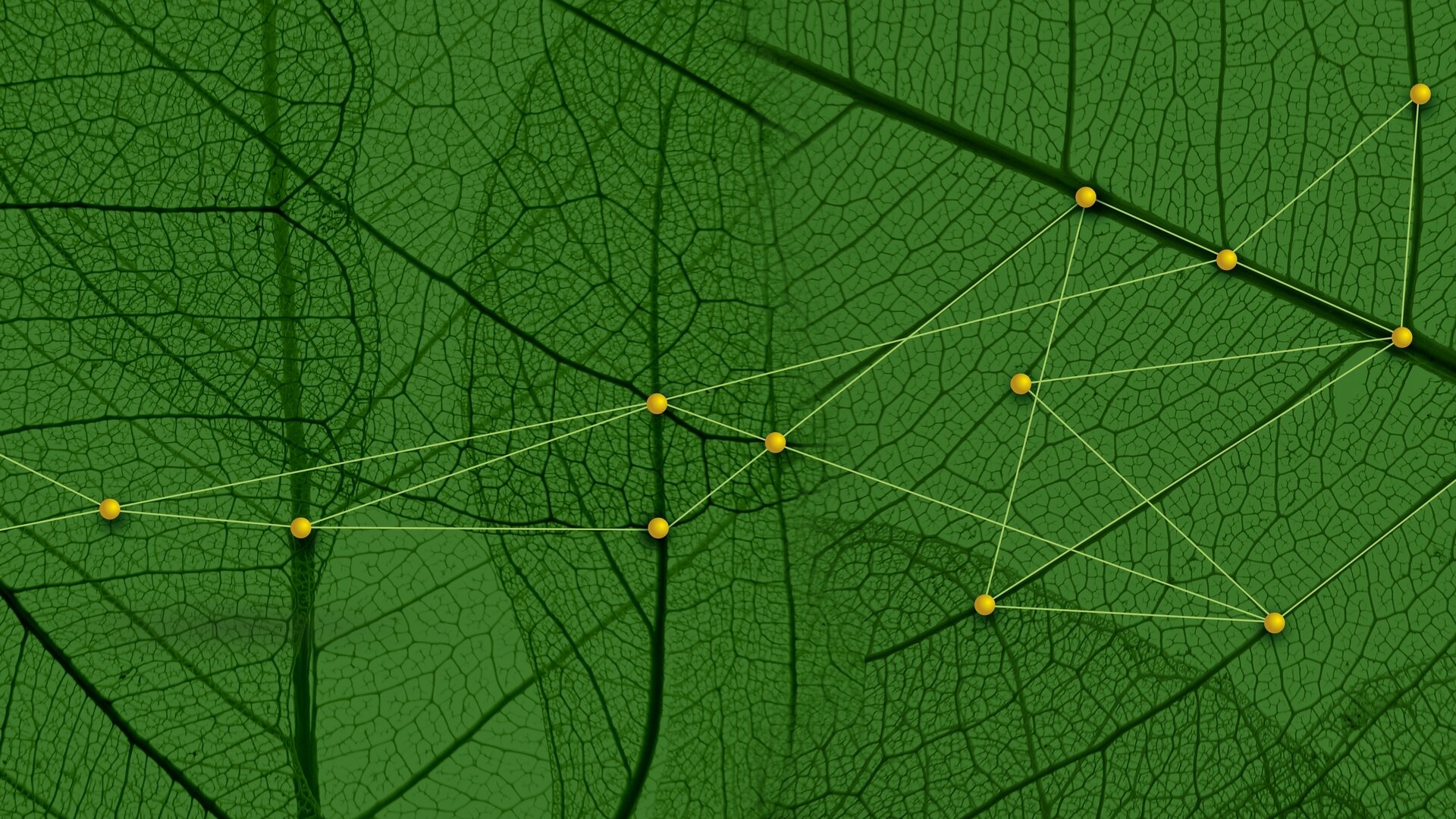 EuBiReCo 2026 - MUSE