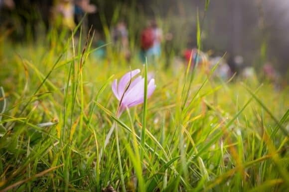 Summer solstice celebration at high altitude