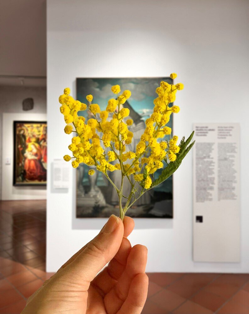 Festa della Donna - Museo Diocesano