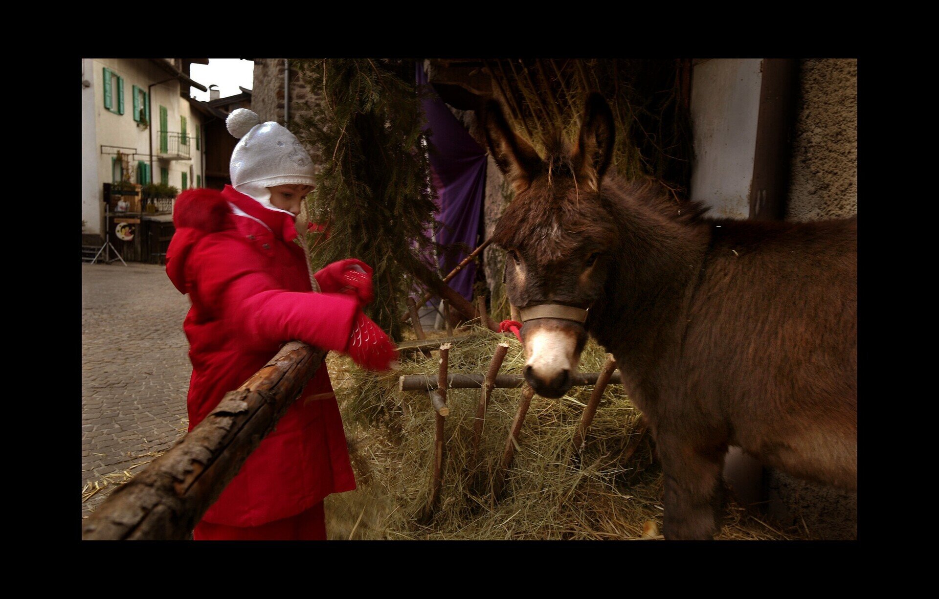 Content Dam Org 7 Images Full Rights Eventi Baselga Di Pine Festa Di Santa Lucia Miola Mercatini Ph D Lira
