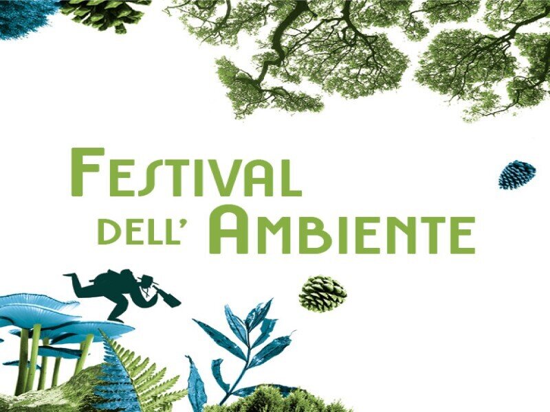 Environmental Festival
