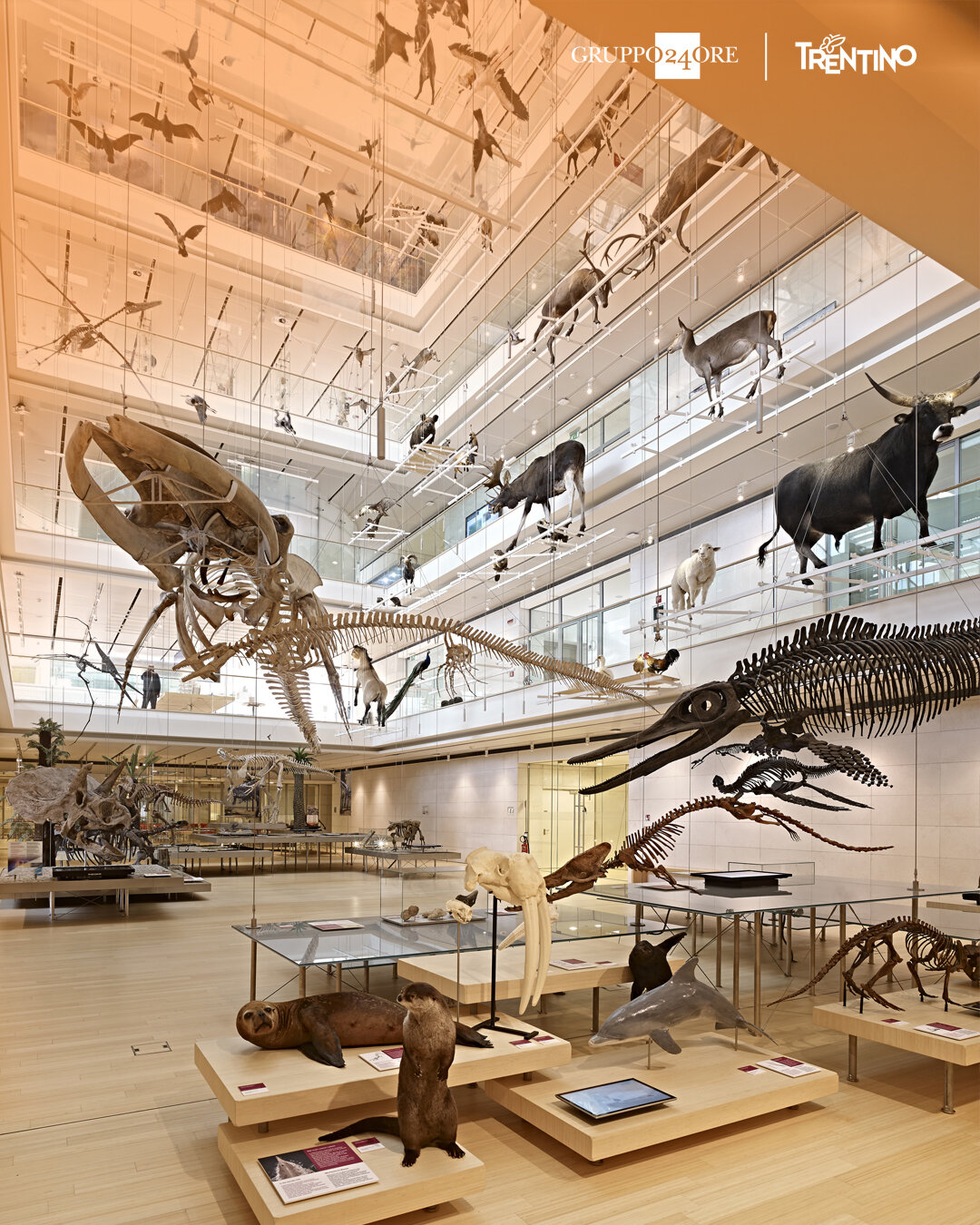 Content Dam Org 7 Images Full Rights Eventi Trento Festival Dell Economia 2025 Muse Card Luoghi Muse 4