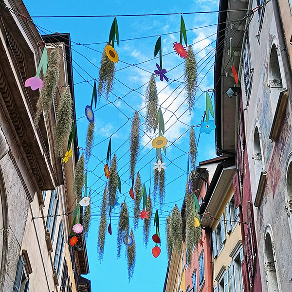 Content Dam Org 7 Images Full Rights Eventi Trento Trento Aperta Fiori Nascosti E Ben Esposti