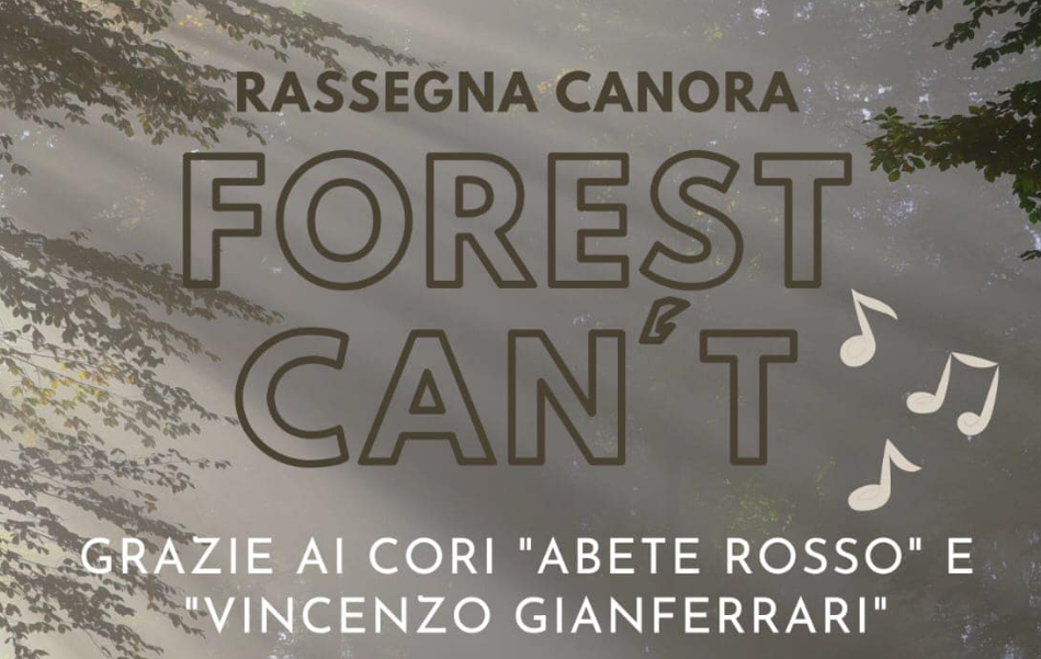 Forest can't