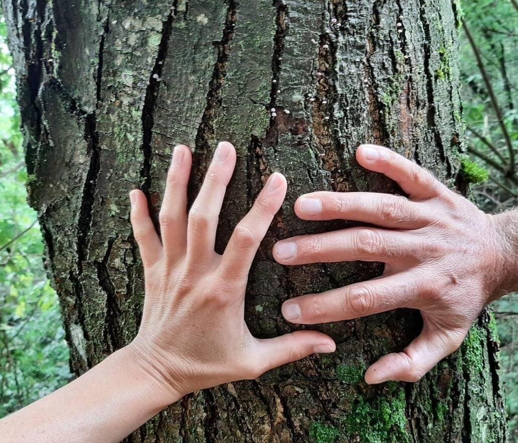 Forestling con Arno Cardini