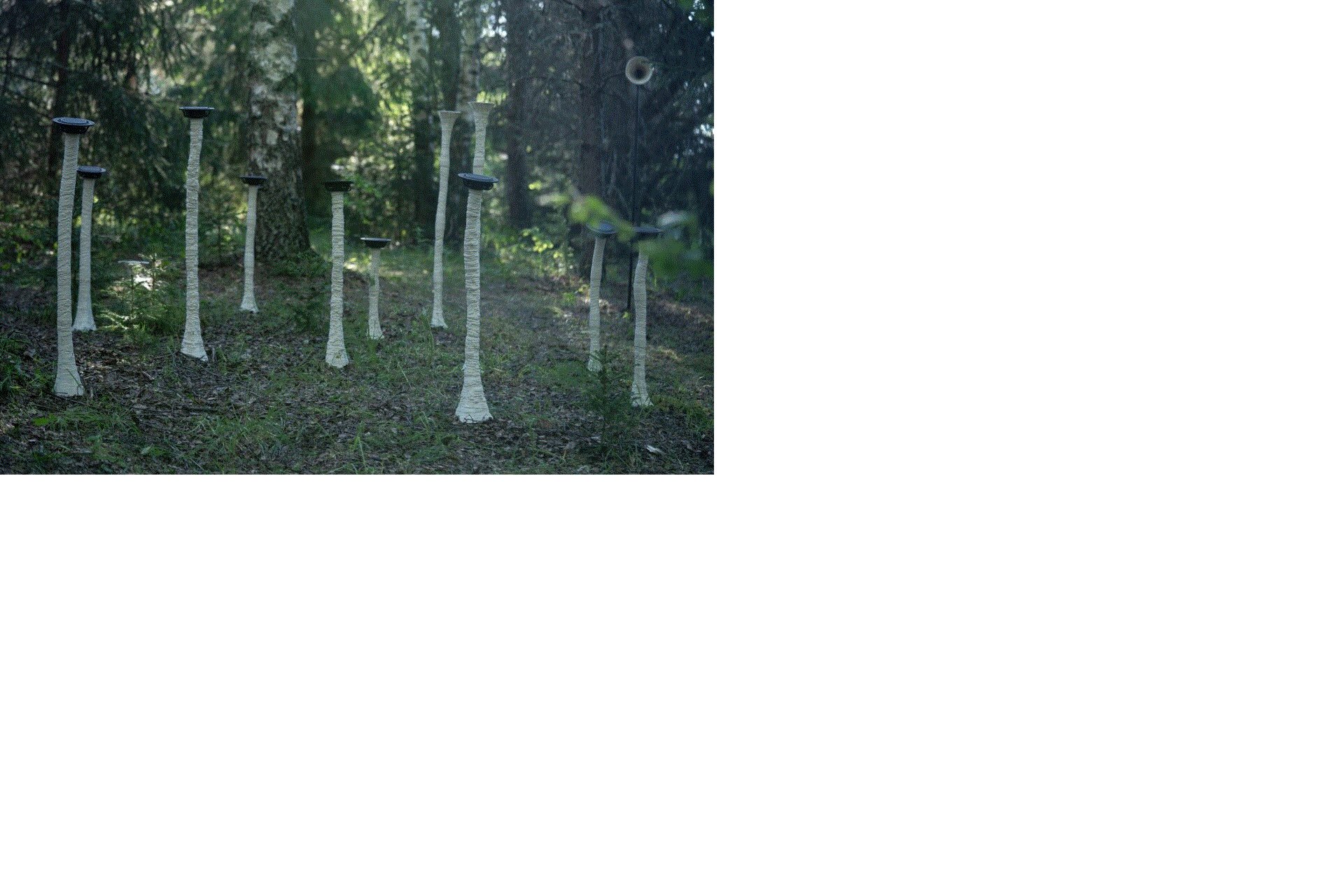 PILZE – Symbiotische Harmonien – Botanischer Alpengarten „Giardino Botanico Alpino delle Viote” auf dem Monte Bondone