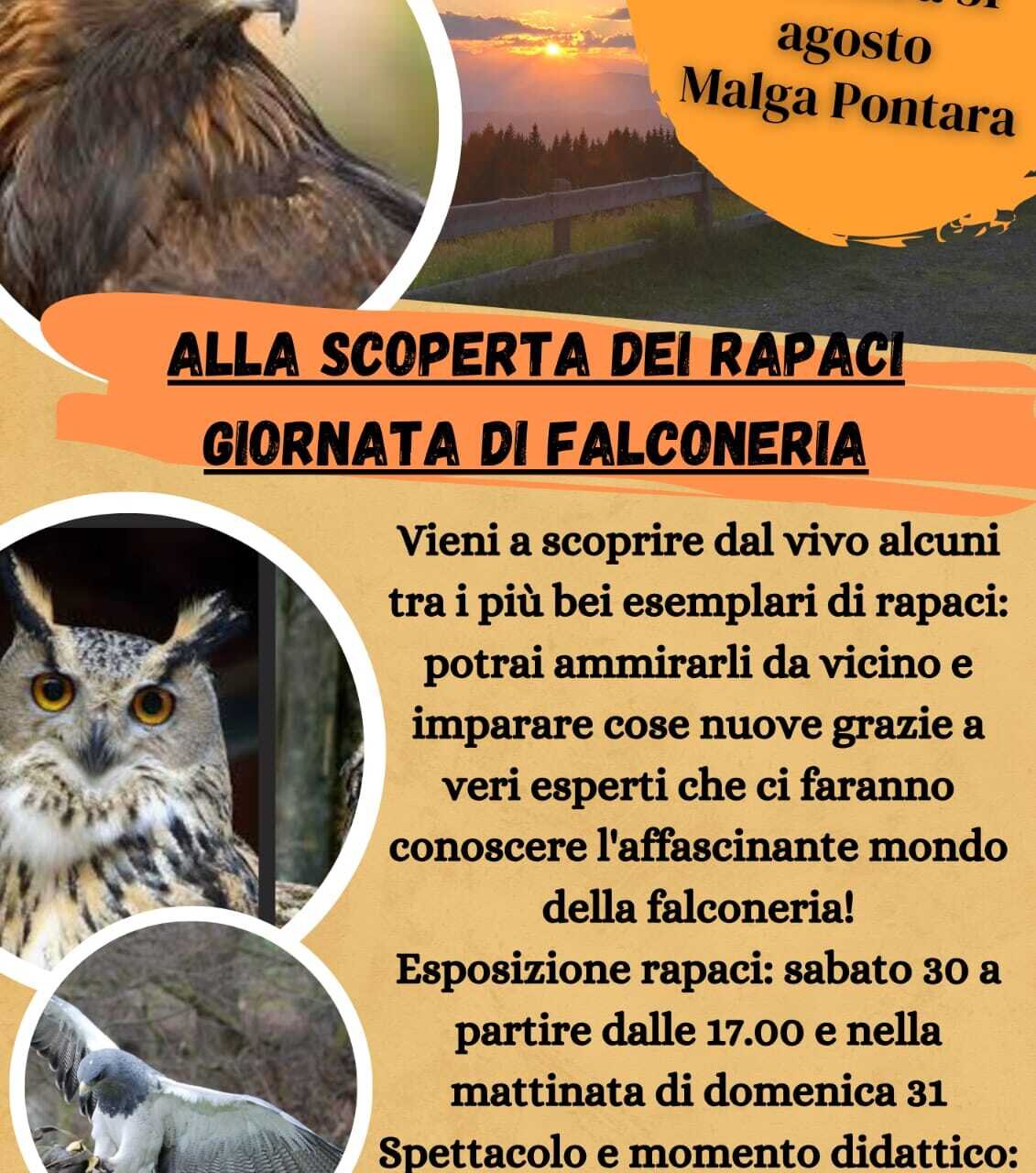 Falconry day in the Pontara alpine pasture