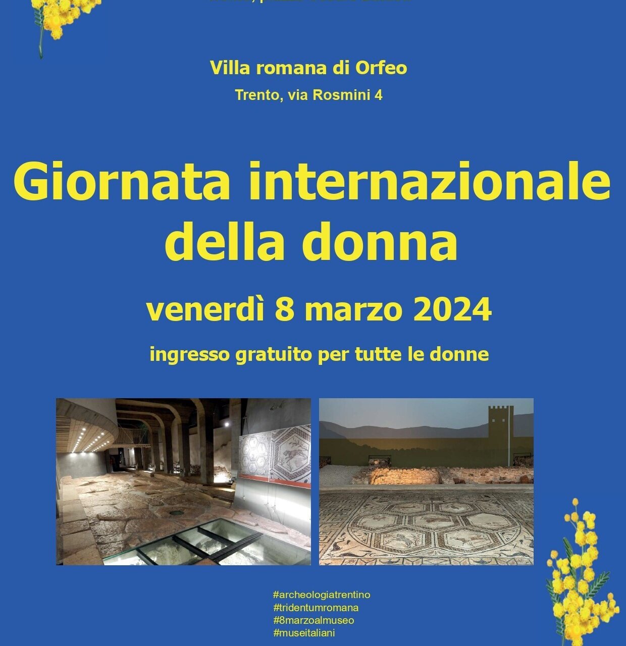 Giornata internazionale della donna