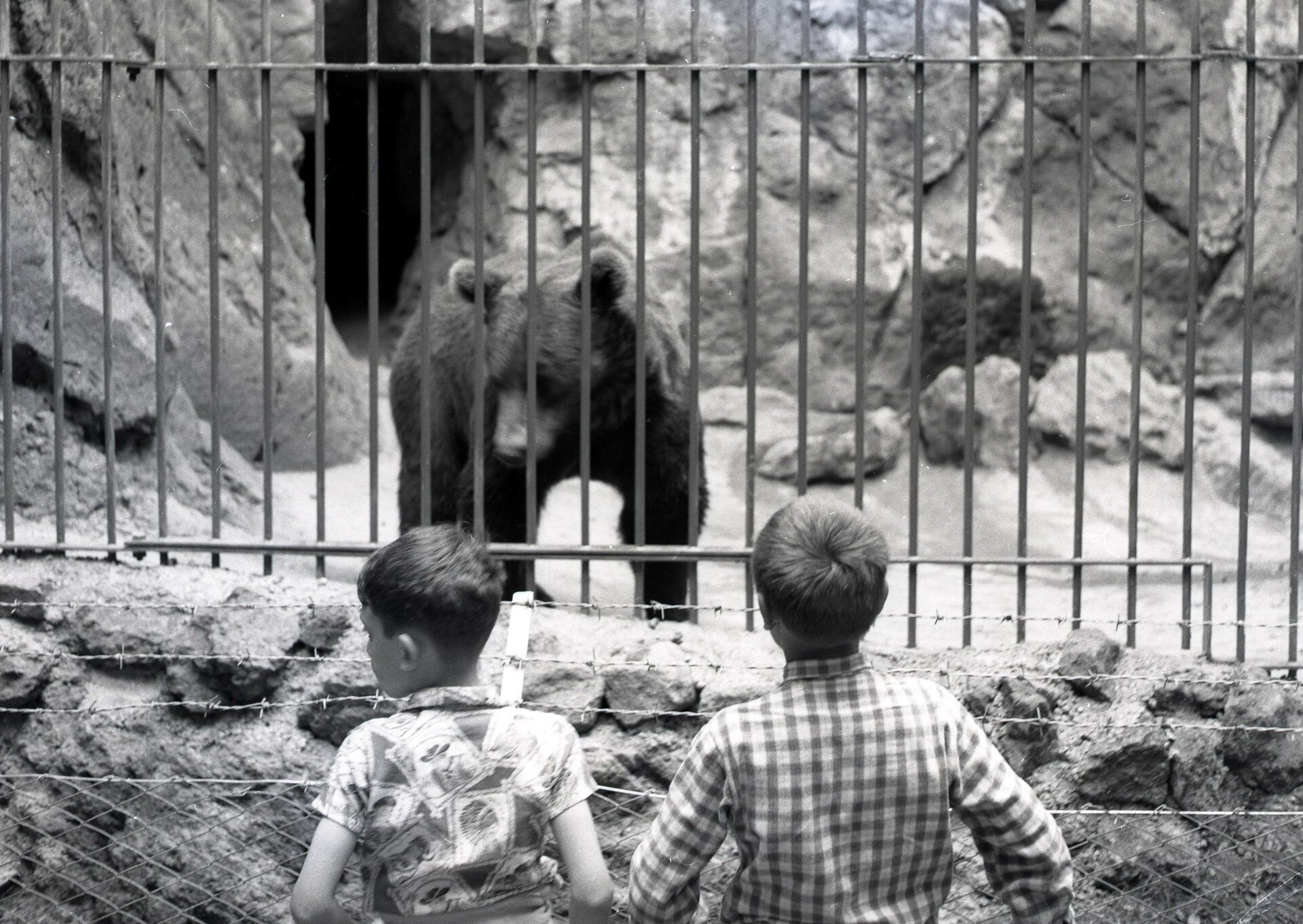 Content Dam Org 7 Images Full Rights Eventi Trento Fondazione Museo Storico Del Trentino 2023 2024 Gocciadoro Cento Anni Di Un Parco Romantico Una Nuova Mostra 02 Inaugurazione Della Gabbia Degli Orsi