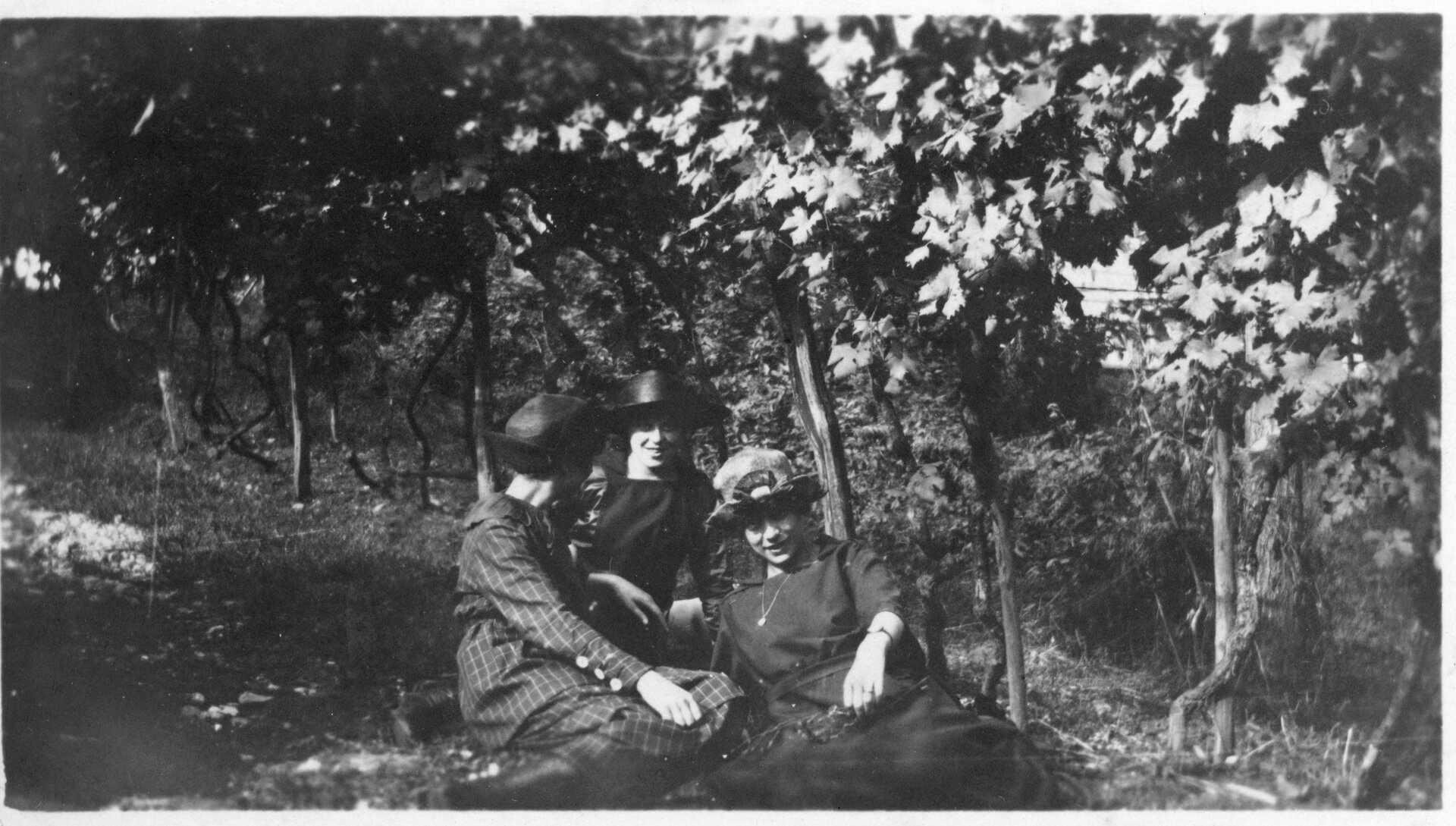 Content Dam Org 7 Images Full Rights Eventi Trento Fondazione Museo Storico Del Trentino 2023 2024 Gocciadoro Cento Anni Di Un Parco Romantico Una Nuova Mostra 03 Tre Donne Nel Vigneto Di Gocciadoro