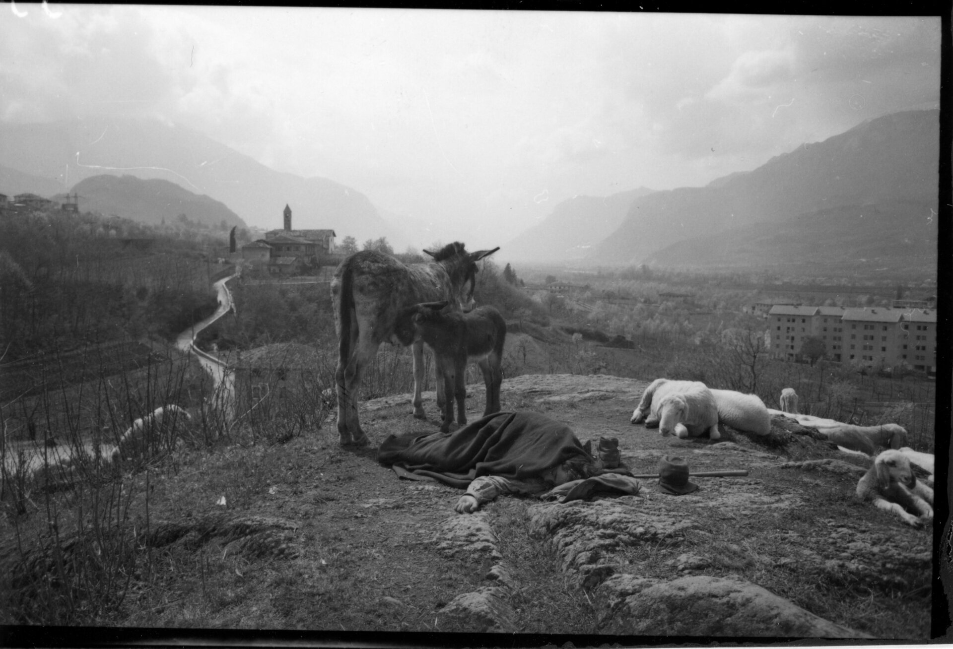 Content Dam Org 7 Images Full Rights Eventi Trento Fondazione Museo Storico Del Trentino 2023 2024 Gocciadoro Cento Anni Di Un Parco Romantico Una Nuova Mostra 04 Un Pastore Riposa A Gocciadoro