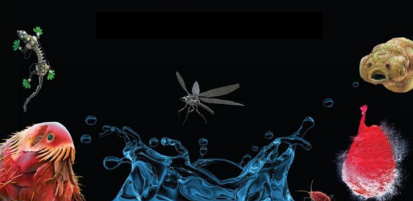 Die Geheimnisse der unsichtbaren Welt - 3D-Dokumentarfilm