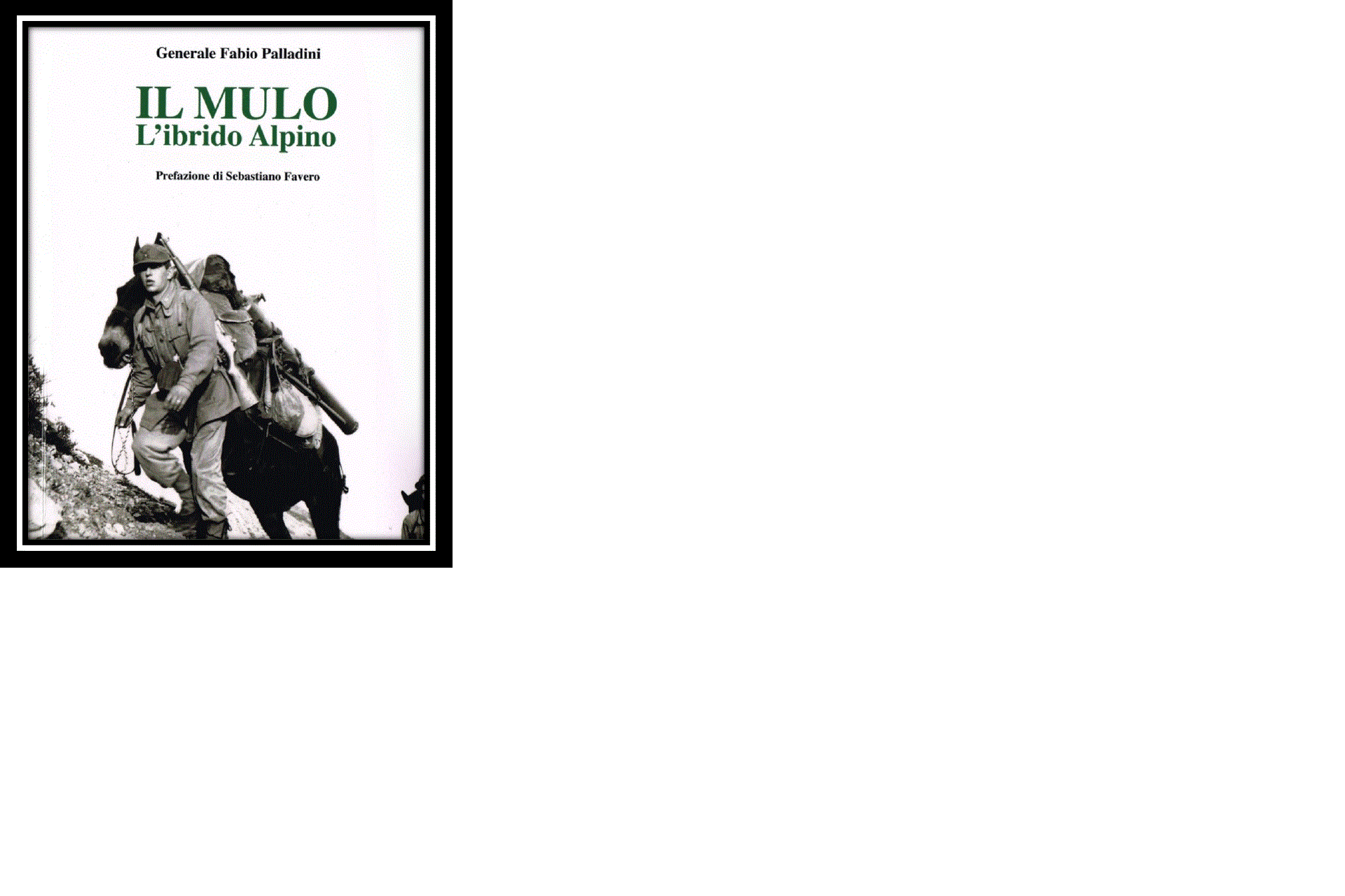 Das Maultier - Der Alpenhybrid - Nationales Historisches Alpenmuseum