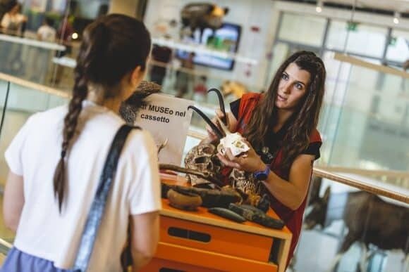 The Museum in the Drawer - MUSE