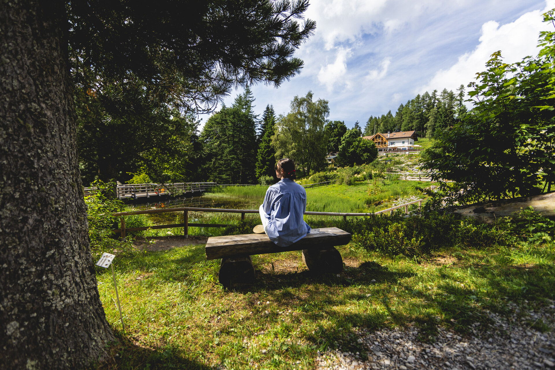 The Taste of Science. Workshops for families and adults - Viote Alpine Botanical Garden