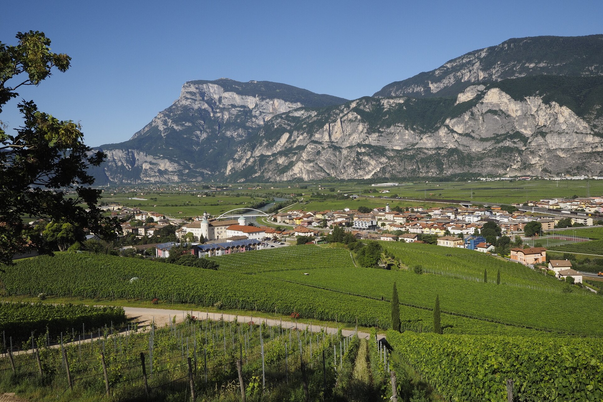 Impariamo a degustare il Teroldego - Enoteca Provinciale del Trentino Palazzo Roccabruna