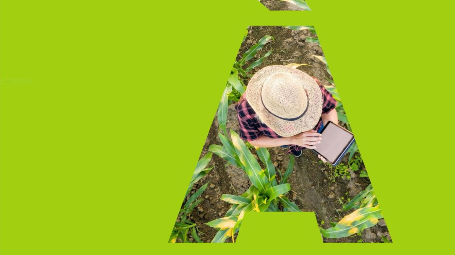 Einweihung "Lasst uns die Innovation kultivieren“ - MUSE