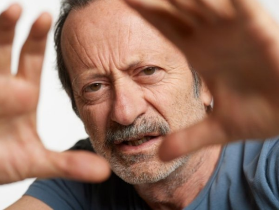 L'ispettore generale - Rocco Papaleo