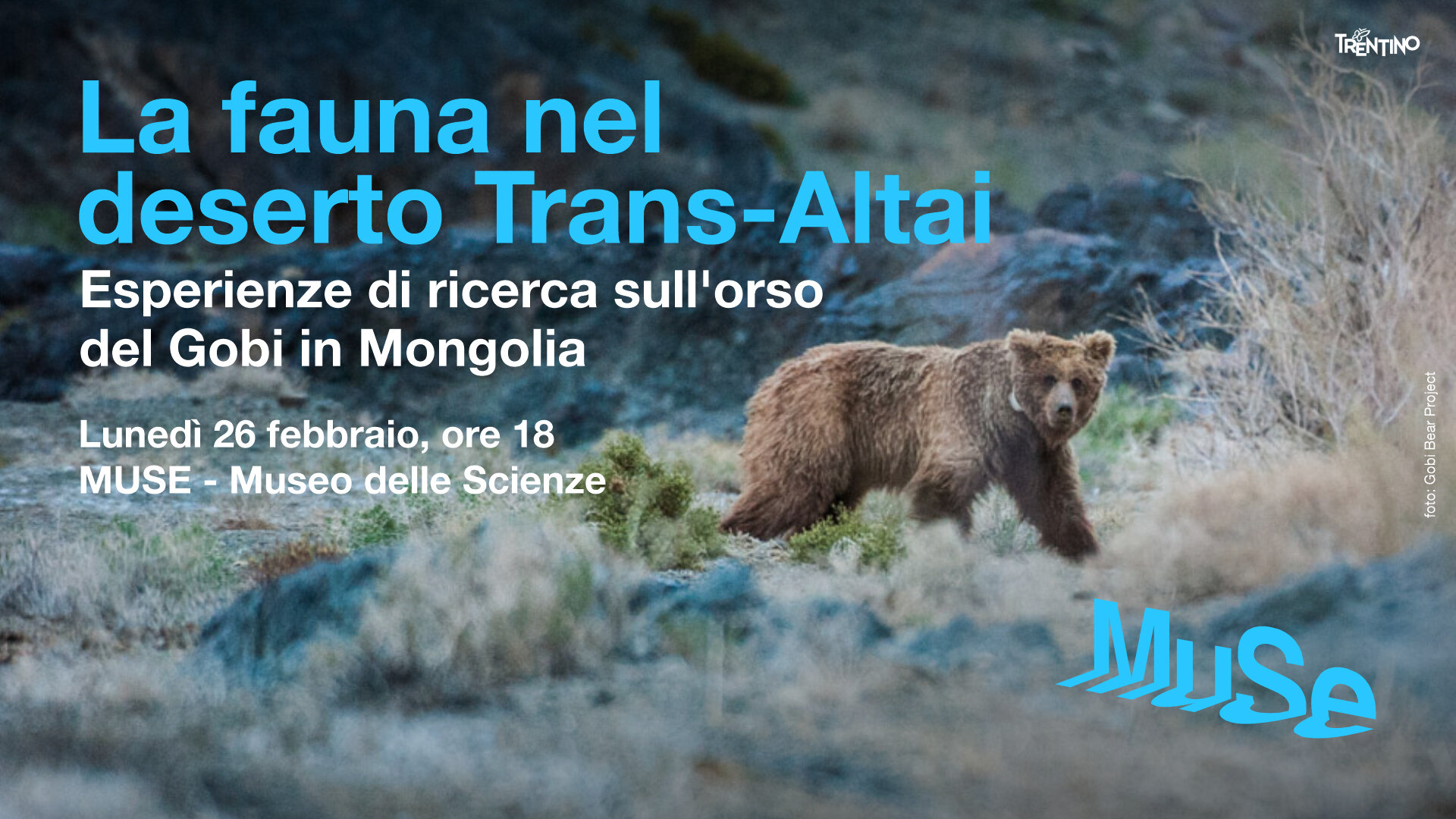 Content Dam Org 7 Images Full Rights Eventi Trento Muse 2023 2024 La Fauna Nel Deserto Trans Altai 08 Cartolina Digital 1920x1080 Orso