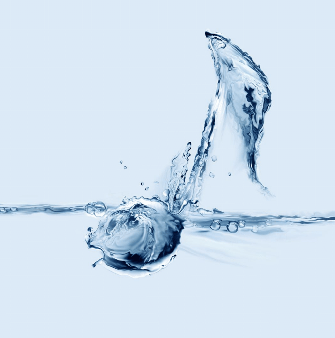 Die Form des Wassers - MUSE