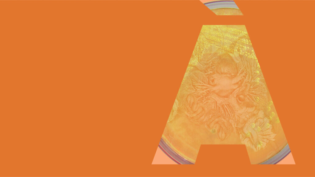 The Earth lasts longer than empires - The intelligence of the soil - MUSE