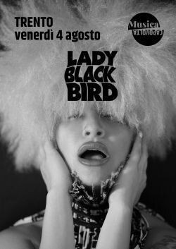 Lady Blackbird