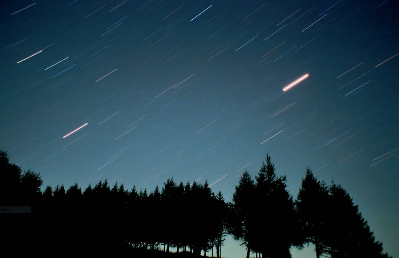 Le notti delle stelle cadenti - Giardino Botanico Alpino delle Viote