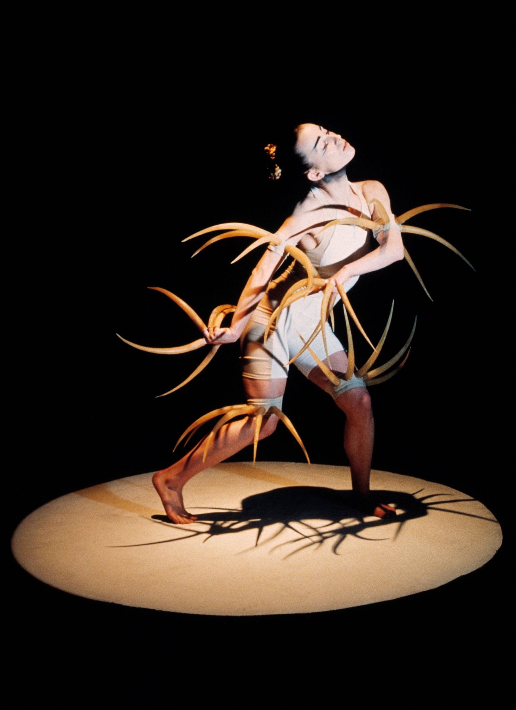 Content Dam Org 7 Images Full Rights Eventi Trento Centro Servizi Culturali Santa Chiara Teatro Sociale Anno 2022 2023 Le Sacre Du Printemps Le Sacre Du Printemps 3