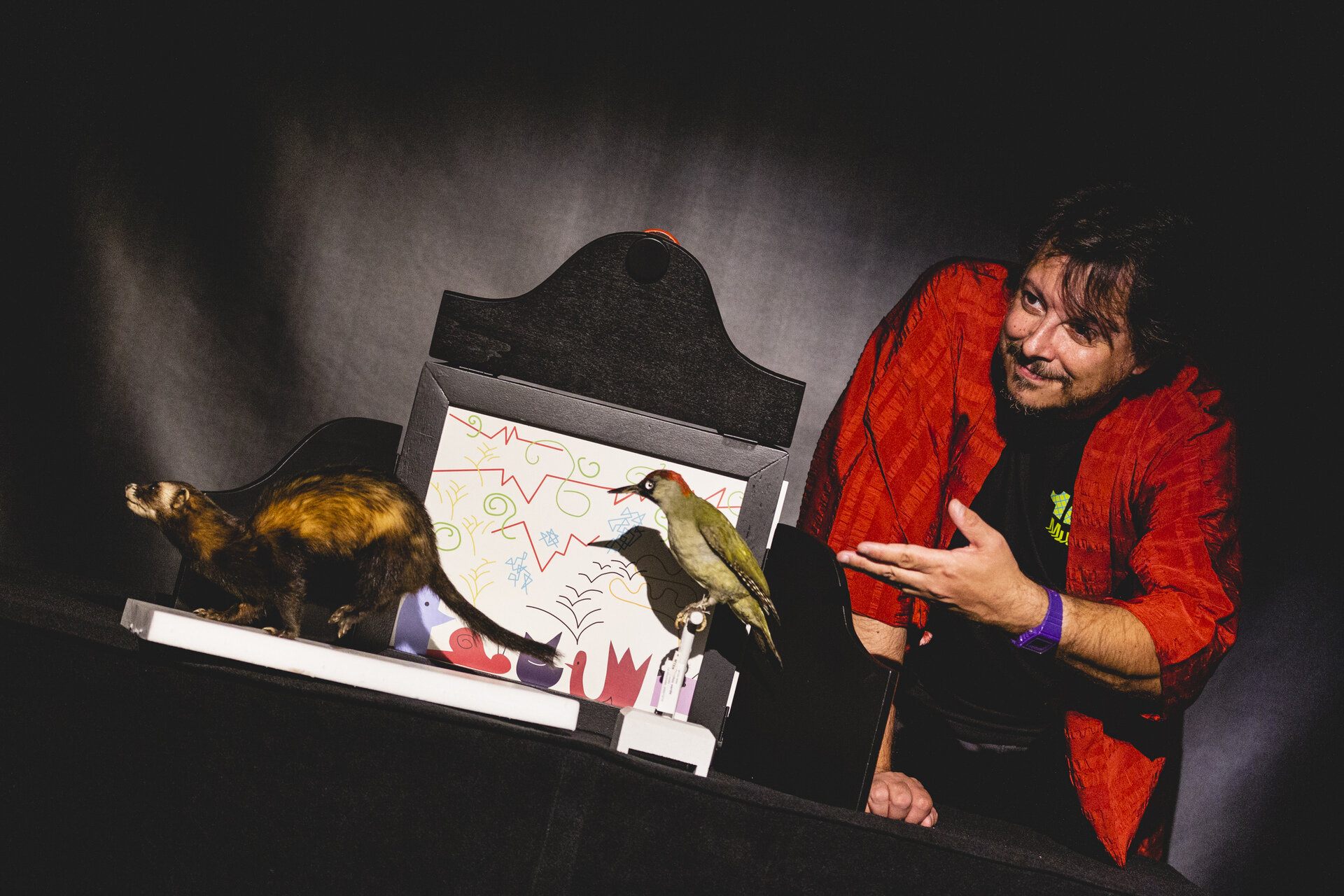 Kamishibai Readings - Christmas of Science at Le Albere Quarter - MUSE