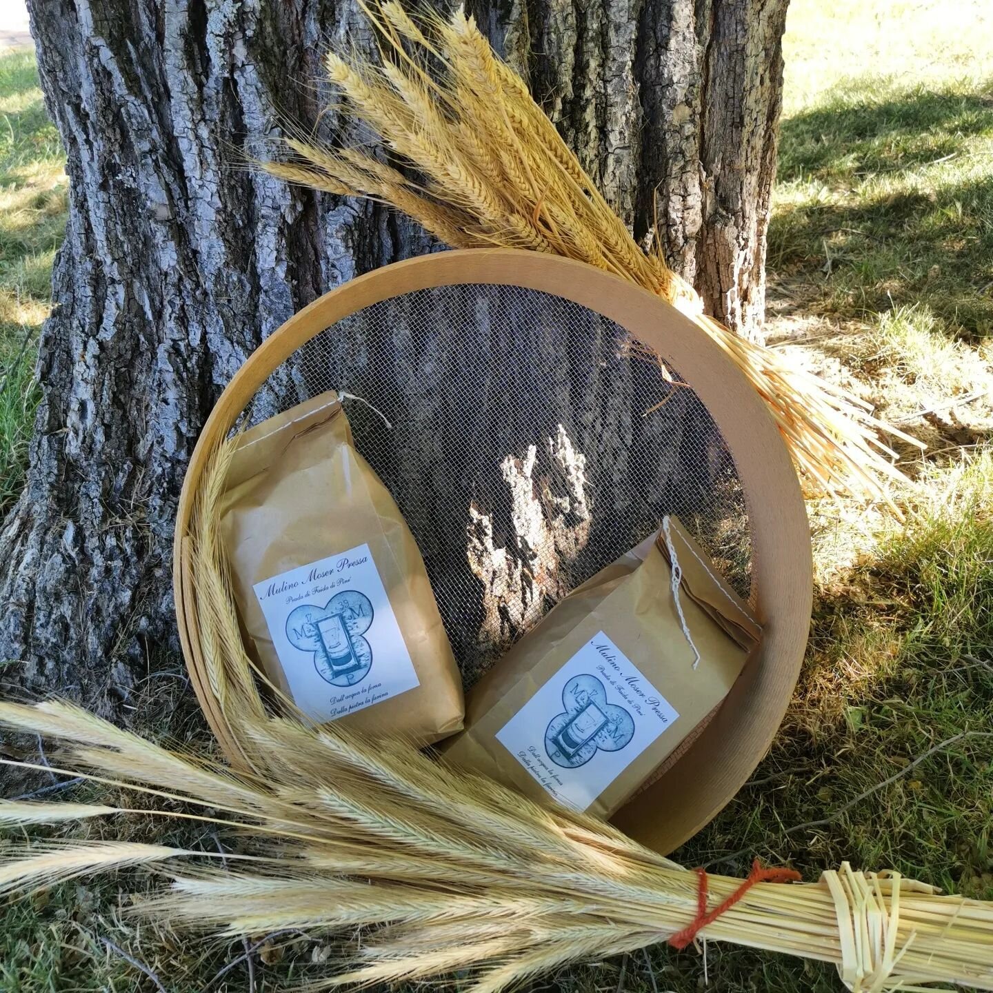 Content Dam Org 7 Images Full Rights Eventi Baselga Di Pine Mercatino Mani Cuore Mani Cuore 5