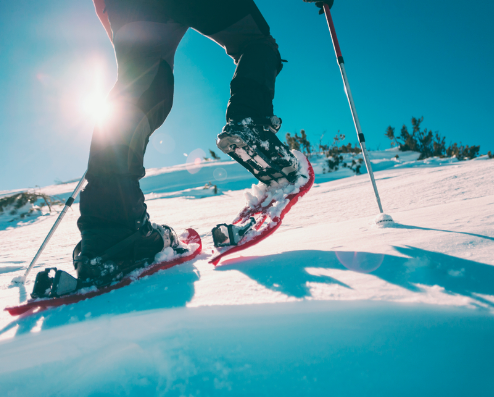 MONTE BONDONE e CITTÀ di TRENTO - EscursionI KIDS and FAMILY