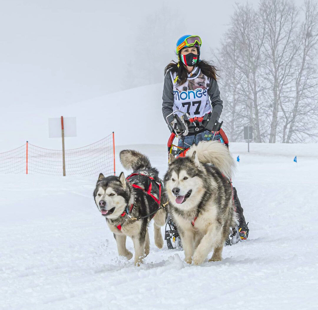Monte Bondone Race - Italian Cup for sled dogs