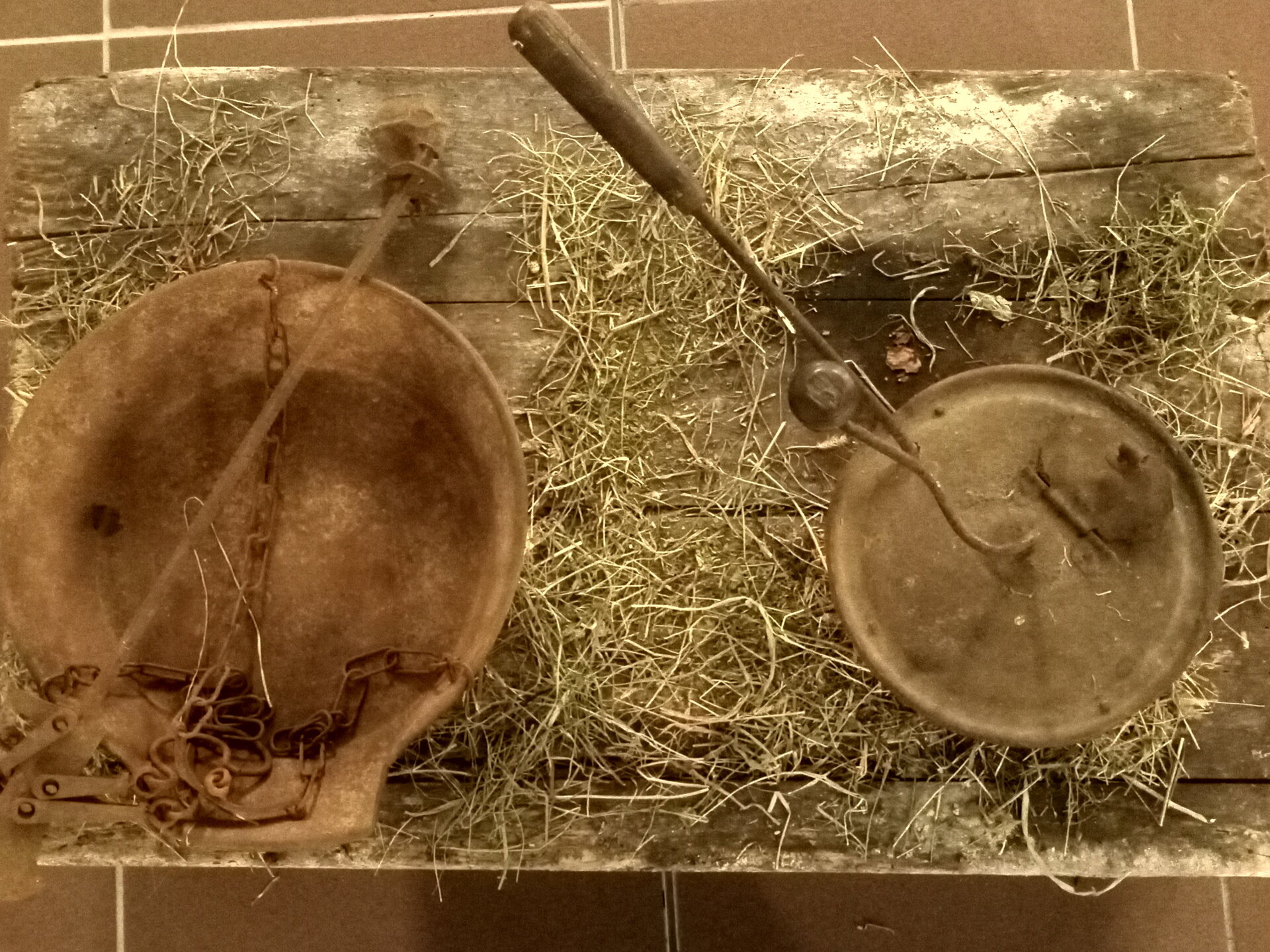 Content Dam Org 7 Images Full Rights Eventi Garniga Terme Mostra Attrezzi Agricoli Garniga Terme Mostra Attrezzi Agricoli Garniga Terme 3