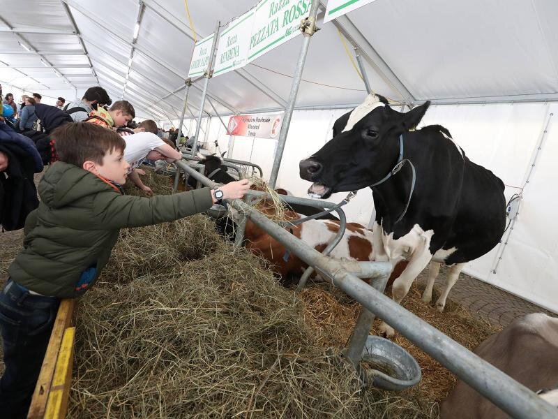 Content Dam Org 7 Images Full Rights Eventi Trento Trento Fiere Mostra Dell Agricoltura Mostra Dell Agricoltura 9